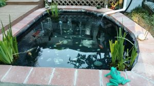 Landscaping in Olympia, WA