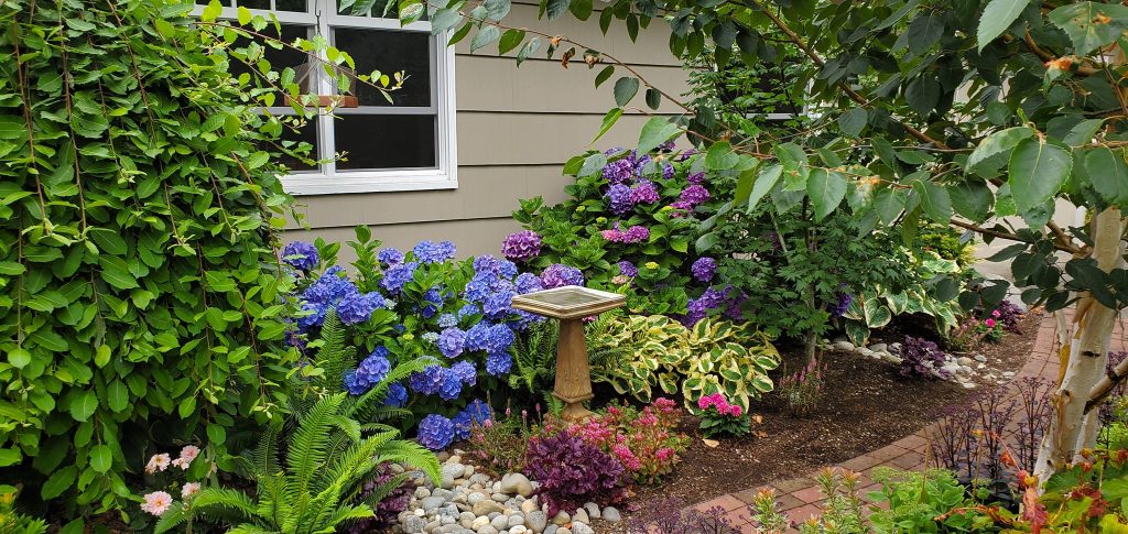 Landscaping in Olympia, WA Landscaping in Olympia, WA