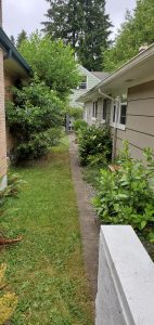 Landscaping in Olympia, WA