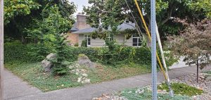 Landscaping in Olympia, WA
