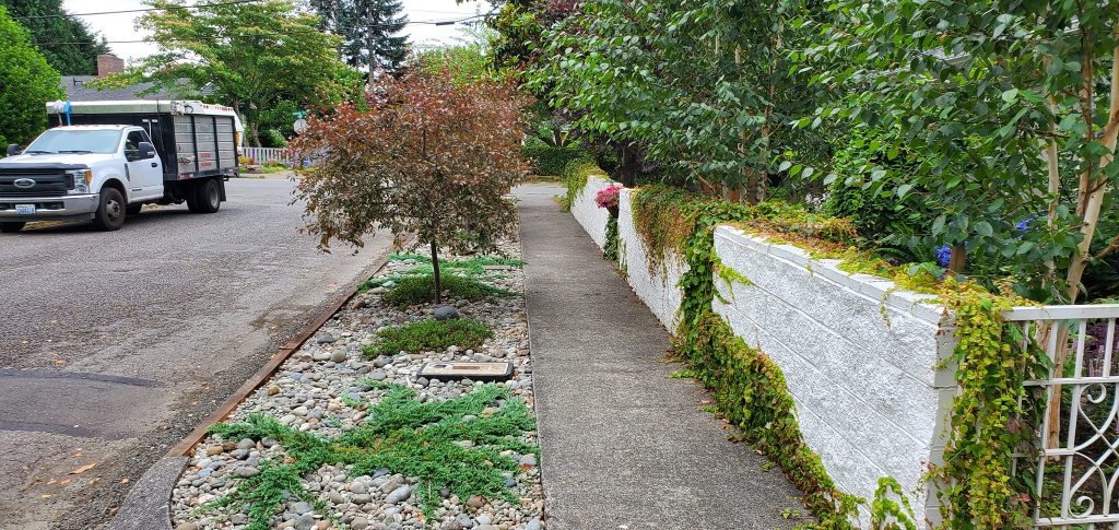 Landscaping in Olympia, WA Landscaping in Olympia, WA