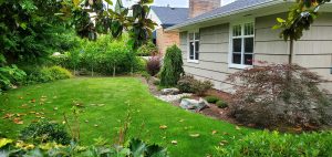 Landscaping in Olympia, WA