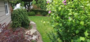 Landscaping in Olympia, WA