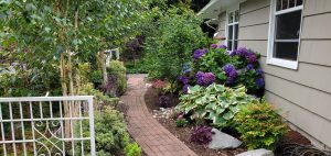 Landscaping in Olympia, WA