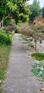 Landscaping in Olympia, WA