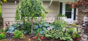 Landscaping in Olympia, WA