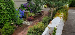 Landscaping in Olympia, WA