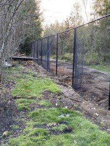 Landscaping in Olympia, WA