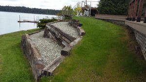 Landscaping in Olympia, WA