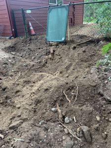 Landscaping in Olympia, WA
