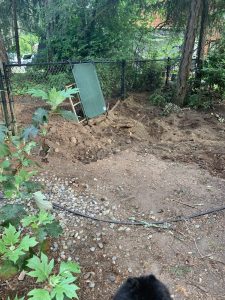 Landscaping in Olympia, WA