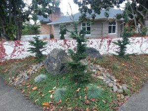 Landscaping in Olympia, WA