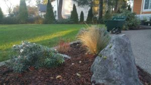 Landscaping in Olympia, WA