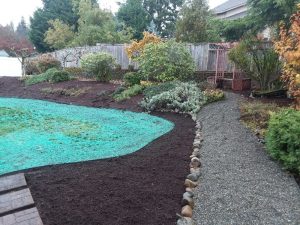 Landscaping in Olympia, WA