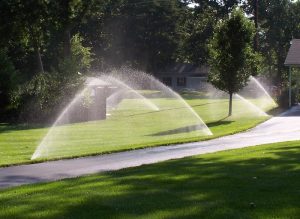 Landscaping in Olympia, WA