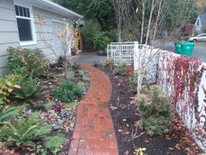 Landscaping in Olympia, WA