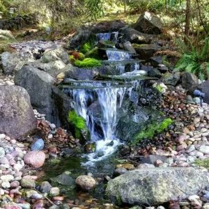 Landscaping in Olympia, WA